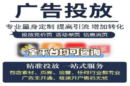 百度竞价排名策略解析：一家公司的广告投放策略全揭秘